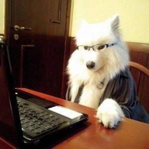 Meet your Posher, Wislon